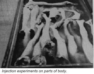 josef mengele experiments he did